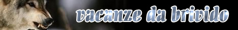 Banne 1