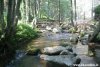 Fiume Garga, affluente dell'Arvo
