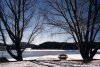 Lorica - Lago Arvo ghiacciato in inverno