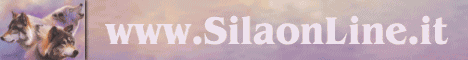 SilaB2or