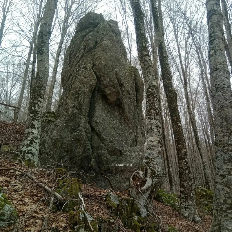 Pietra del Ruvazzo a Zagarise