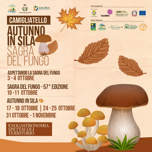 Sagra del Fungo edizione 2026 a Camigliatello Silano